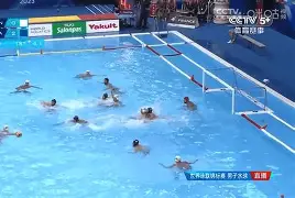 多米体育app-塞维利亚比赛时间