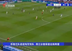 多米体育-欧洲杯保加利亚对匈牙利